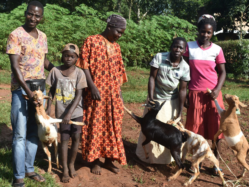 Livelihoods 4
